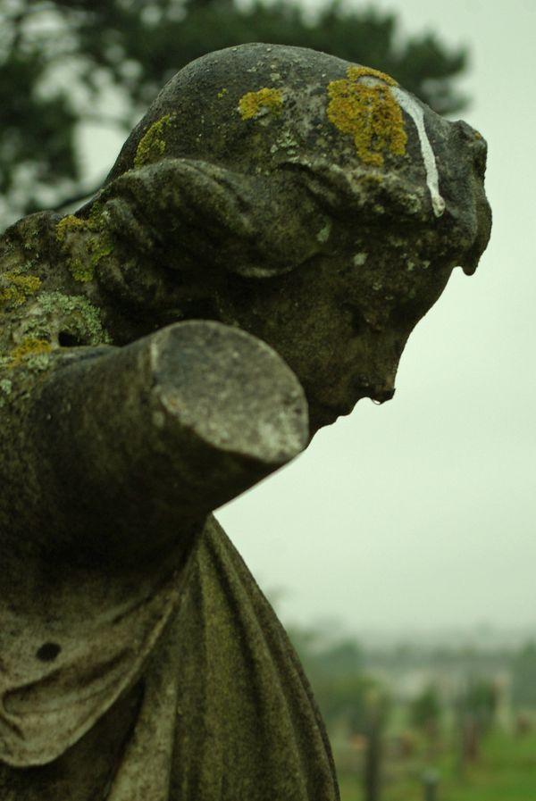 angel statue angel statue 6 Overgrown Cemeteries, Tombs and Catacombs