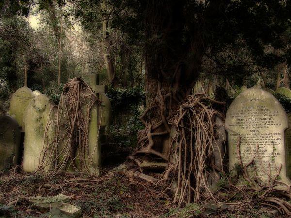 highgate highgate 6 Overgrown Cemeteries, Tombs and Catacombs