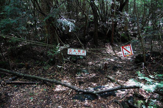Japan Selbstmordwald Japan Selbstmordwald