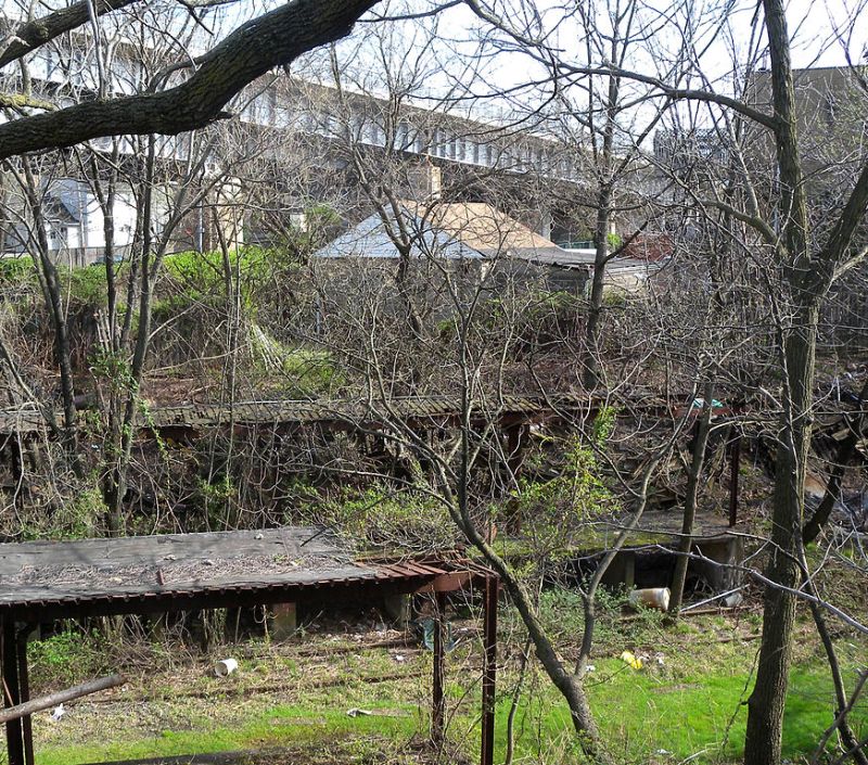 Elm Stree Staten Island Ny Elm Stree Staten Island Ny